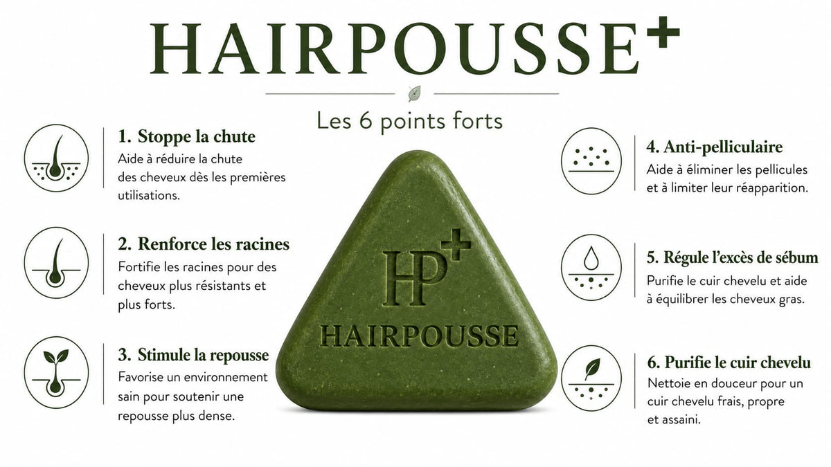 Image de présentation
