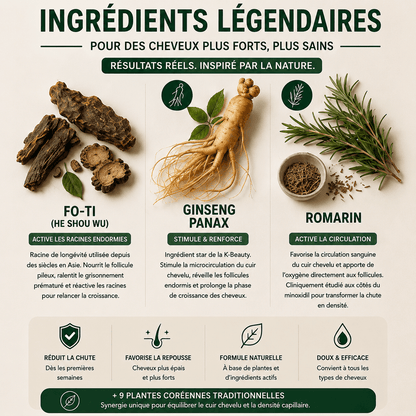 Soin solide cheveux - Fibre Renforcée & Plantes Coréennes